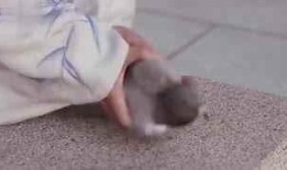 宫泰国版预告在线观看